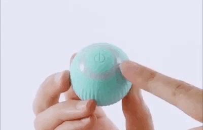 gif_petgravity3
