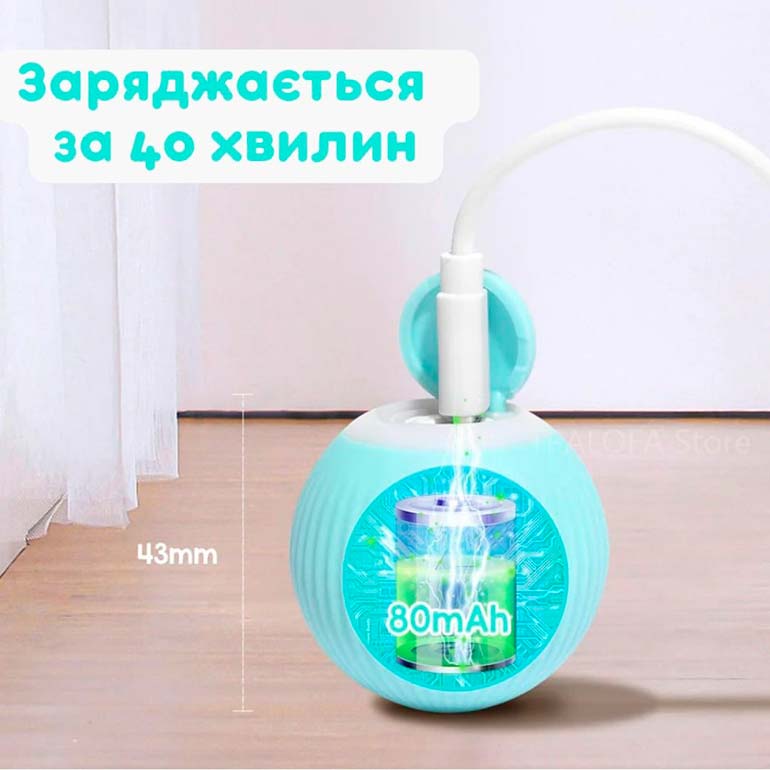 haract_ballcat_4